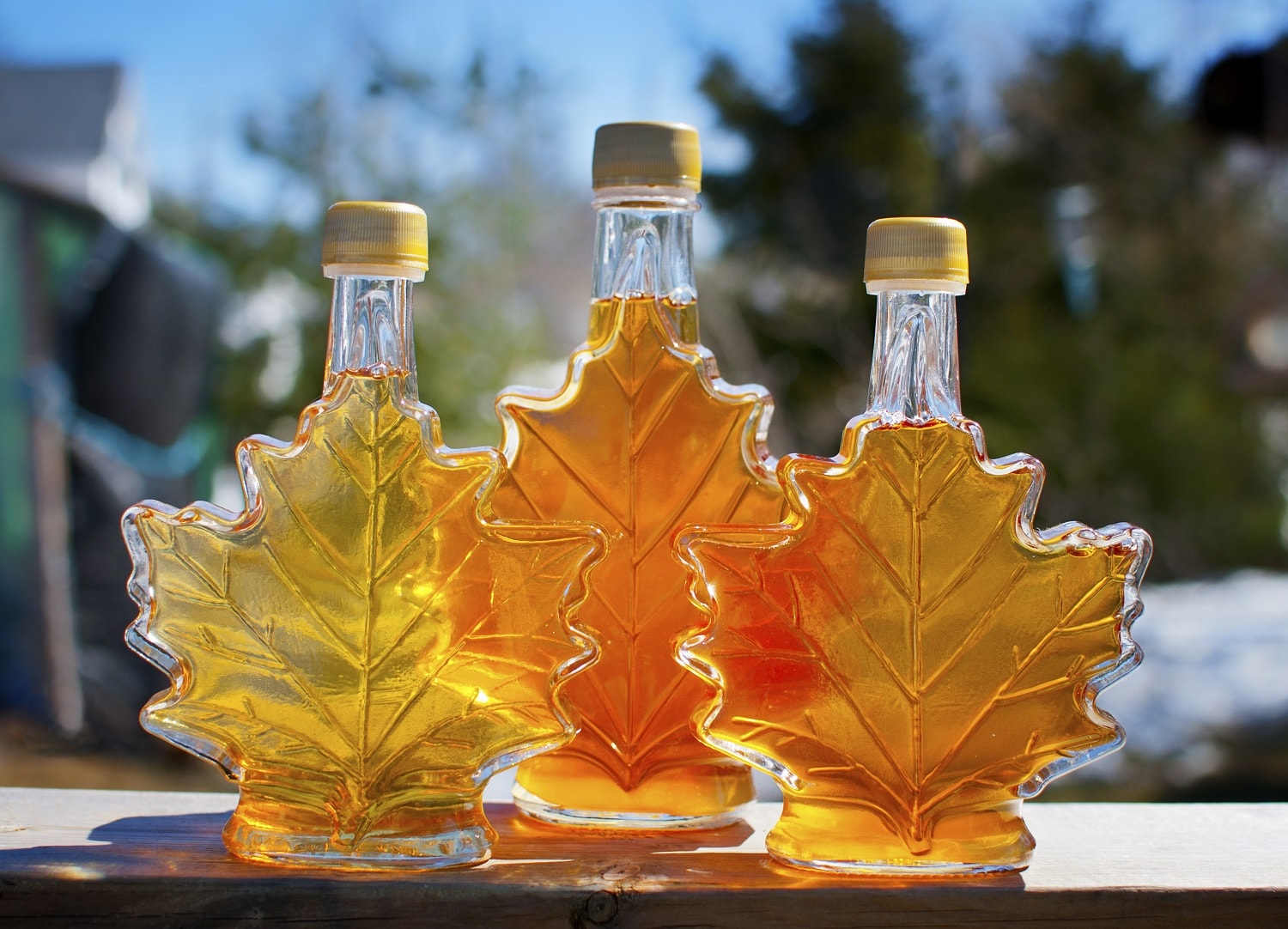 Get a Taste of Vermont Maple Syrup | GetAway Vacations