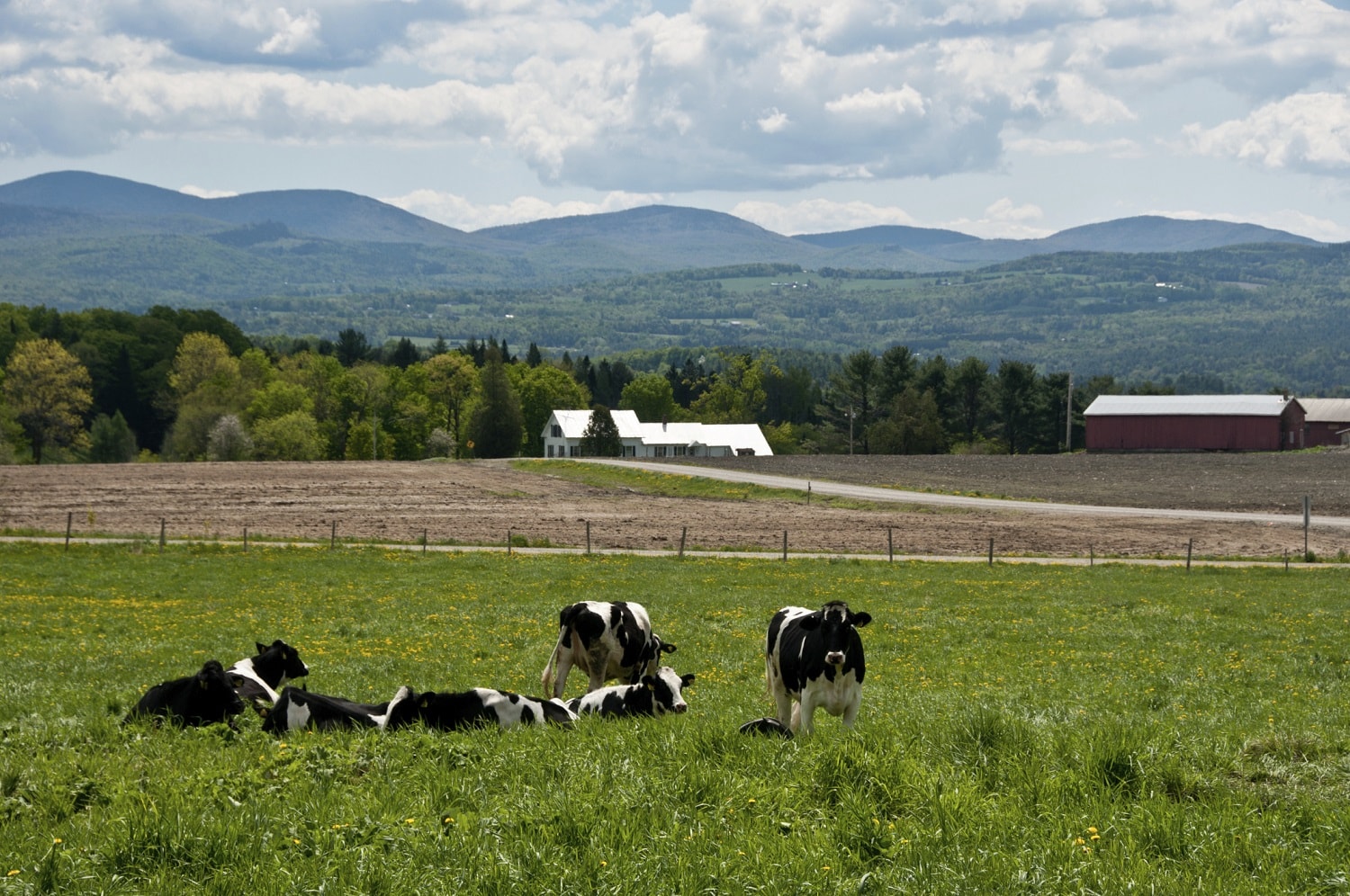 vermont places to visit in spring