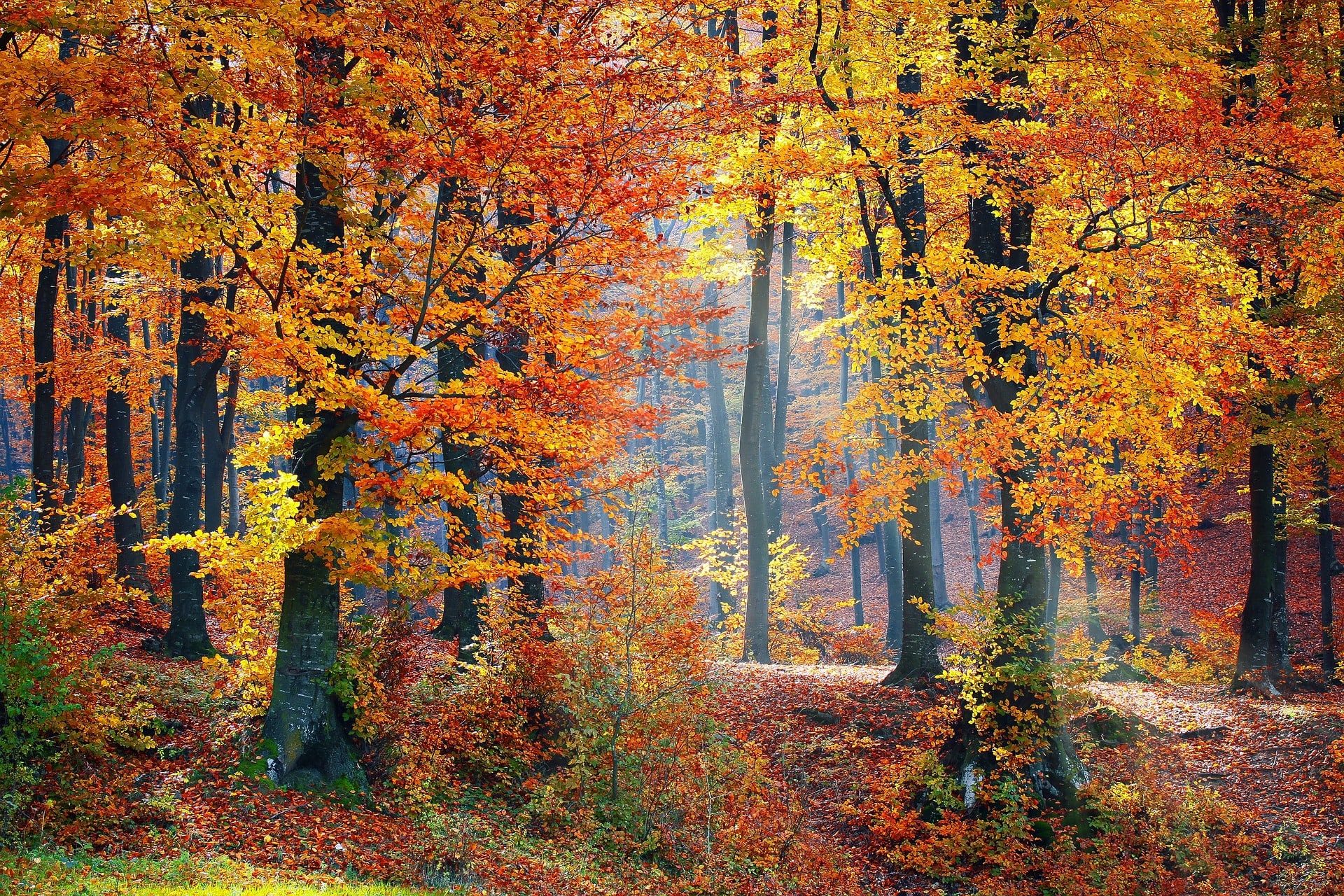 Fall-Activities-in-Killington-VT